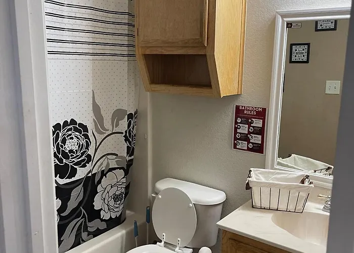 Apartment Kindness Dwells Killeen